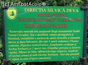 [P02] Turnul de la Crivadia - pe partea cu acest panou este cararea » foto by mishu
 - 
<span class="allrVoted glyphicon glyphicon-heart hidden" id="av854039"></span>
<a class="m-l-10 hidden" id="sv854039" onclick="voting_Foto_DelVot(,854039,15838)" role="button">șterge vot <span class="glyphicon glyphicon-remove"></span></a>
<a id="v9854039" class=" c-red"  onclick="voting_Foto_SetVot(854039)" role="button"><span class="glyphicon glyphicon-heart-empty"></span> <b>LIKE</b> = Votează poza</a> <img class="hidden"  id="f854039W9" src="/imagini/loader.gif" border="0" /><span class="AjErrMes hidden" id="e854039ErM"></span>