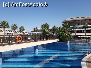 [P10] alta piscina!  » foto by balasa violeta
 - 
<span class="allrVoted glyphicon glyphicon-heart hidden" id="av1031855"></span>
<a class="m-l-10 hidden" id="sv1031855" onclick="voting_Foto_DelVot(,1031855,15940)" role="button">șterge vot <span class="glyphicon glyphicon-remove"></span></a>
<a id="v91031855" class=" c-red"  onclick="voting_Foto_SetVot(1031855)" role="button"><span class="glyphicon glyphicon-heart-empty"></span> <b>LIKE</b> = Votează poza</a> <img class="hidden"  id="f1031855W9" src="/imagini/loader.gif" border="0" /><span class="AjErrMes hidden" id="e1031855ErM"></span>