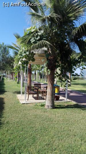 [P20] Din loc in loc, pe alee era un loc de odihna!  » foto by balasa violeta
 - 
<span class="allrVoted glyphicon glyphicon-heart hidden" id="av1031865"></span>
<a class="m-l-10 hidden" id="sv1031865" onclick="voting_Foto_DelVot(,1031865,15940)" role="button">șterge vot <span class="glyphicon glyphicon-remove"></span></a>
<a id="v91031865" class=" c-red"  onclick="voting_Foto_SetVot(1031865)" role="button"><span class="glyphicon glyphicon-heart-empty"></span> <b>LIKE</b> = Votează poza</a> <img class="hidden"  id="f1031865W9" src="/imagini/loader.gif" border="0" /><span class="AjErrMes hidden" id="e1031865ErM"></span>