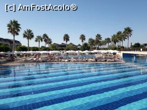 [P09] una dintre piscine!  » foto by balasa violeta
 - 
<span class="allrVoted glyphicon glyphicon-heart hidden" id="av1031854"></span>
<a class="m-l-10 hidden" id="sv1031854" onclick="voting_Foto_DelVot(,1031854,15940)" role="button">șterge vot <span class="glyphicon glyphicon-remove"></span></a>
<a id="v91031854" class=" c-red"  onclick="voting_Foto_SetVot(1031854)" role="button"><span class="glyphicon glyphicon-heart-empty"></span> <b>LIKE</b> = Votează poza</a> <img class="hidden"  id="f1031854W9" src="/imagini/loader.gif" border="0" /><span class="AjErrMes hidden" id="e1031854ErM"></span>