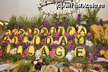 [P27] seara turceasca » foto by adinasilvia
 - 
<span class="allrVoted glyphicon glyphicon-heart hidden" id="av491820"></span>
<a class="m-l-10 hidden" id="sv491820" onclick="voting_Foto_DelVot(,491820,15970)" role="button">șterge vot <span class="glyphicon glyphicon-remove"></span></a>
<a id="v9491820" class=" c-red"  onclick="voting_Foto_SetVot(491820)" role="button"><span class="glyphicon glyphicon-heart-empty"></span> <b>LIKE</b> = Votează poza</a> <img class="hidden"  id="f491820W9" src="/imagini/loader.gif" border="0" /><span class="AjErrMes hidden" id="e491820ErM"></span>