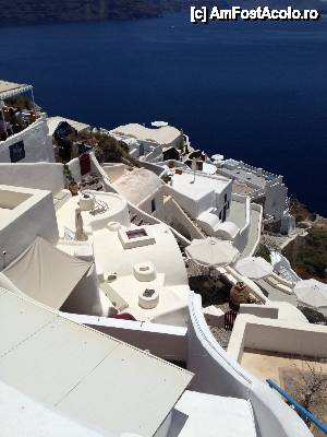 [P12] Cat alb...  » foto by Xla
 - 
<span class="allrVoted glyphicon glyphicon-heart hidden" id="av450837"></span>
<a class="m-l-10 hidden" id="sv450837" onclick="voting_Foto_DelVot(,450837,16213)" role="button">șterge vot <span class="glyphicon glyphicon-remove"></span></a>
<a id="v9450837" class=" c-red"  onclick="voting_Foto_SetVot(450837)" role="button"><span class="glyphicon glyphicon-heart-empty"></span> <b>LIKE</b> = Votează poza</a> <img class="hidden"  id="f450837W9" src="/imagini/loader.gif" border="0" /><span class="AjErrMes hidden" id="e450837ErM"></span>