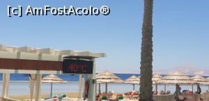 [P10] Si nu e pranzul inca » foto by Lisa
 - 
<span class="allrVoted glyphicon glyphicon-heart hidden" id="av1281402"></span>
<a class="m-l-10 hidden" id="sv1281402" onclick="voting_Foto_DelVot(,1281402,16490)" role="button">șterge vot <span class="glyphicon glyphicon-remove"></span></a>
<a id="v91281402" class=" c-red"  onclick="voting_Foto_SetVot(1281402)" role="button"><span class="glyphicon glyphicon-heart-empty"></span> <b>LIKE</b> = Votează poza</a> <img class="hidden"  id="f1281402W9" src="/imagini/loader.gif" border="0" /><span class="AjErrMes hidden" id="e1281402ErM"></span>