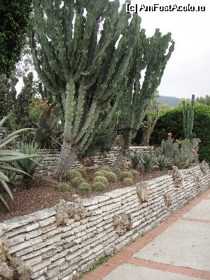 [P04] gradina cu cactusi » foto by Krisstina2112
 - 
<span class="allrVoted glyphicon glyphicon-heart hidden" id="av513403"></span>
<a class="m-l-10 hidden" id="sv513403" onclick="voting_Foto_DelVot(,513403,16491)" role="button">șterge vot <span class="glyphicon glyphicon-remove"></span></a>
<a id="v9513403" class=" c-red"  onclick="voting_Foto_SetVot(513403)" role="button"><span class="glyphicon glyphicon-heart-empty"></span> <b>LIKE</b> = Votează poza</a> <img class="hidden"  id="f513403W9" src="/imagini/loader.gif" border="0" /><span class="AjErrMes hidden" id="e513403ErM"></span>