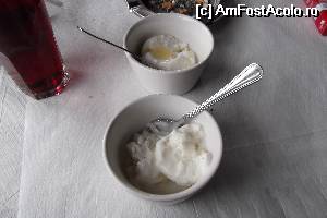 [P53] inghetata delicioasa » foto by aricel
 - 
<span class="allrVoted glyphicon glyphicon-heart hidden" id="av516331"></span>
<a class="m-l-10 hidden" id="sv516331" onclick="voting_Foto_DelVot(,516331,16596)" role="button">șterge vot <span class="glyphicon glyphicon-remove"></span></a>
<a id="v9516331" class=" c-red"  onclick="voting_Foto_SetVot(516331)" role="button"><span class="glyphicon glyphicon-heart-empty"></span> <b>LIKE</b> = Votează poza</a> <img class="hidden"  id="f516331W9" src="/imagini/loader.gif" border="0" /><span class="AjErrMes hidden" id="e516331ErM"></span>
