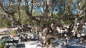 [P27] Mănăstirea Anafonitria, Zakynthos » foto by vlado2
 - 
<span class="allrVoted glyphicon glyphicon-heart hidden" id="av1521793"></span>
<a class="m-l-10 hidden" id="sv1521793" onclick="voting_Foto_DelVot(,1521793,16617)" role="button">șterge vot <span class="glyphicon glyphicon-remove"></span></a>
<a id="v91521793" class=" c-red"  onclick="voting_Foto_SetVot(1521793)" role="button"><span class="glyphicon glyphicon-heart-empty"></span> <b>LIKE</b> = Votează poza</a> <img class="hidden"  id="f1521793W9" src="/imagini/loader.gif" border="0" /><span class="AjErrMes hidden" id="e1521793ErM"></span>