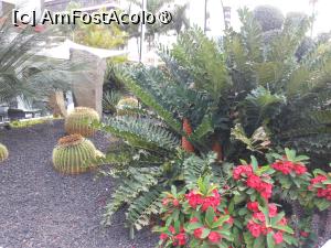 [P07] Puerto de la Cruz - Blue Sea Puerto Resort. Aranjamente peisagistice. » foto by iulianic
 - 
<span class="allrVoted glyphicon glyphicon-heart hidden" id="av1423620"></span>
<a class="m-l-10 hidden" id="sv1423620" onclick="voting_Foto_DelVot(,1423620,16618)" role="button">șterge vot <span class="glyphicon glyphicon-remove"></span></a>
<a id="v91423620" class=" c-red"  onclick="voting_Foto_SetVot(1423620)" role="button"><span class="glyphicon glyphicon-heart-empty"></span> <b>LIKE</b> = Votează poza</a> <img class="hidden"  id="f1423620W9" src="/imagini/loader.gif" border="0" /><span class="AjErrMes hidden" id="e1423620ErM"></span>