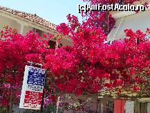 [P02]  -- <small>// FĂRĂ DESCRIERE</small> » foto by sniga
 - 
<span class="allrVoted glyphicon glyphicon-heart hidden" id="av326273"></span>
<a class="m-l-10 hidden" id="sv326273" onclick="voting_Foto_DelVot(,326273,16678)" role="button">șterge vot <span class="glyphicon glyphicon-remove"></span></a>
<a id="v9326273" class=" c-red"  onclick="voting_Foto_SetVot(326273)" role="button"><span class="glyphicon glyphicon-heart-empty"></span> <b>LIKE</b> = Votează poza</a> <img class="hidden"  id="f326273W9" src="/imagini/loader.gif" border="0" /><span class="AjErrMes hidden" id="e326273ErM"></span>