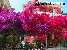 [P03]  -- <small>// FĂRĂ DESCRIERE</small> » foto by sniga
 - 
<span class="allrVoted glyphicon glyphicon-heart hidden" id="av326274"></span>
<a class="m-l-10 hidden" id="sv326274" onclick="voting_Foto_DelVot(,326274,16678)" role="button">șterge vot <span class="glyphicon glyphicon-remove"></span></a>
<a id="v9326274" class=" c-red"  onclick="voting_Foto_SetVot(326274)" role="button"><span class="glyphicon glyphicon-heart-empty"></span> <b>LIKE</b> = Votează poza</a> <img class="hidden"  id="f326274W9" src="/imagini/loader.gif" border="0" /><span class="AjErrMes hidden" id="e326274ErM"></span>