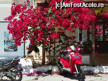 [P04]  -- <small>// FĂRĂ DESCRIERE</small> » foto by sniga
 - 
<span class="allrVoted glyphicon glyphicon-heart hidden" id="av326275"></span>
<a class="m-l-10 hidden" id="sv326275" onclick="voting_Foto_DelVot(,326275,16678)" role="button">șterge vot <span class="glyphicon glyphicon-remove"></span></a>
<a id="v9326275" class=" c-red"  onclick="voting_Foto_SetVot(326275)" role="button"><span class="glyphicon glyphicon-heart-empty"></span> <b>LIKE</b> = Votează poza</a> <img class="hidden"  id="f326275W9" src="/imagini/loader.gif" border="0" /><span class="AjErrMes hidden" id="e326275ErM"></span>