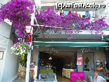 [P05] un barulet in care lucreaza o romanca ,patroana casatorita cu grec,veneam adesea,recomand » foto by sniga
 - 
<span class="allrVoted glyphicon glyphicon-heart hidden" id="av326278"></span>
<a class="m-l-10 hidden" id="sv326278" onclick="voting_Foto_DelVot(,326278,16678)" role="button">șterge vot <span class="glyphicon glyphicon-remove"></span></a>
<a id="v9326278" class=" c-red"  onclick="voting_Foto_SetVot(326278)" role="button"><span class="glyphicon glyphicon-heart-empty"></span> <b>LIKE</b> = Votează poza</a> <img class="hidden"  id="f326278W9" src="/imagini/loader.gif" border="0" /><span class="AjErrMes hidden" id="e326278ErM"></span>