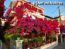 [P06]  -- <small>// FĂRĂ DESCRIERE</small> » foto by sniga
 - 
<span class="allrVoted glyphicon glyphicon-heart hidden" id="av326280"></span>
<a class="m-l-10 hidden" id="sv326280" onclick="voting_Foto_DelVot(,326280,16678)" role="button">șterge vot <span class="glyphicon glyphicon-remove"></span></a>
<a id="v9326280" class=" c-red"  onclick="voting_Foto_SetVot(326280)" role="button"><span class="glyphicon glyphicon-heart-empty"></span> <b>LIKE</b> = Votează poza</a> <img class="hidden"  id="f326280W9" src="/imagini/loader.gif" border="0" /><span class="AjErrMes hidden" id="e326280ErM"></span>