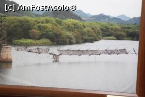 [P10] Un alt pod rămas martor ocular al confruntării dintre frați.  » foto by glcitizen
 - 
<span class="allrVoted glyphicon glyphicon-heart hidden" id="av814260"></span>
<a class="m-l-10 hidden" id="sv814260" onclick="voting_Foto_DelVot(,814260,16707)" role="button">șterge vot <span class="glyphicon glyphicon-remove"></span></a>
<a id="v9814260" class=" c-red"  onclick="voting_Foto_SetVot(814260)" role="button"><span class="glyphicon glyphicon-heart-empty"></span> <b>LIKE</b> = Votează poza</a> <img class="hidden"  id="f814260W9" src="/imagini/loader.gif" border="0" /><span class="AjErrMes hidden" id="e814260ErM"></span>