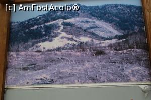 [P03] Efectul războiului asupra mediului înconjurător.  » foto by glcitizen
 - 
<span class="allrVoted glyphicon glyphicon-heart hidden" id="av814253"></span>
<a class="m-l-10 hidden" id="sv814253" onclick="voting_Foto_DelVot(,814253,16707)" role="button">șterge vot <span class="glyphicon glyphicon-remove"></span></a>
<a id="v9814253" class=" c-red"  onclick="voting_Foto_SetVot(814253)" role="button"><span class="glyphicon glyphicon-heart-empty"></span> <b>LIKE</b> = Votează poza</a> <img class="hidden"  id="f814253W9" src="/imagini/loader.gif" border="0" /><span class="AjErrMes hidden" id="e814253ErM"></span>