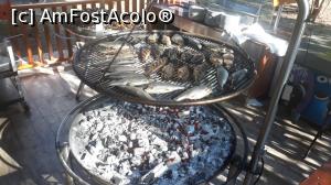 [P06]  -- <small>// FĂRĂ DESCRIERE</small> » foto by DeliaB
 - 
<span class="allrVoted glyphicon glyphicon-heart hidden" id="av1175037"></span>
<a class="m-l-10 hidden" id="sv1175037" onclick="voting_Foto_DelVot(,1175037,16714)" role="button">șterge vot <span class="glyphicon glyphicon-remove"></span></a>
<a id="v91175037" class=" c-red"  onclick="voting_Foto_SetVot(1175037)" role="button"><span class="glyphicon glyphicon-heart-empty"></span> <b>LIKE</b> = Votează poza</a> <img class="hidden"  id="f1175037W9" src="/imagini/loader.gif" border="0" /><span class="AjErrMes hidden" id="e1175037ErM"></span>