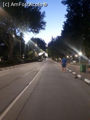 [P19] Plimbarea de seara, » foto by raluca banu
 - 
<span class="allrVoted glyphicon glyphicon-heart hidden" id="av1229681"></span>
<a class="m-l-10 hidden" id="sv1229681" onclick="voting_Foto_DelVot(,1229681,16714)" role="button">șterge vot <span class="glyphicon glyphicon-remove"></span></a>
<a id="v91229681" class=" c-red"  onclick="voting_Foto_SetVot(1229681)" role="button"><span class="glyphicon glyphicon-heart-empty"></span> <b>LIKE</b> = Votează poza</a> <img class="hidden"  id="f1229681W9" src="/imagini/loader.gif" border="0" /><span class="AjErrMes hidden" id="e1229681ErM"></span>