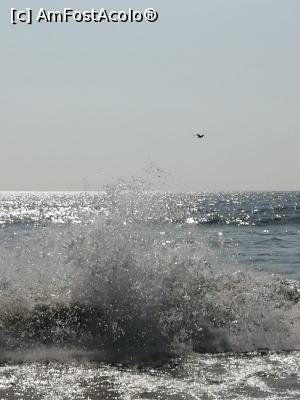 [P10] Poza cu impact emotional :) Ati observat pescarusul ?? » foto by fanespoitorul
 - 
<span class="allrVoted glyphicon glyphicon-heart hidden" id="av1251021"></span>
<a class="m-l-10 hidden" id="sv1251021" onclick="voting_Foto_DelVot(,1251021,16714)" role="button">șterge vot <span class="glyphicon glyphicon-remove"></span></a>
<a id="v91251021" class=" c-red"  onclick="voting_Foto_SetVot(1251021)" role="button"><span class="glyphicon glyphicon-heart-empty"></span> <b>LIKE</b> = Votează poza</a> <img class="hidden"  id="f1251021W9" src="/imagini/loader.gif" border="0" /><span class="AjErrMes hidden" id="e1251021ErM"></span>