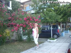 [P26] flori, multe flori » foto by Paloma
 - 
<span class="allrVoted glyphicon glyphicon-heart hidden" id="av523020"></span>
<a class="m-l-10 hidden" id="sv523020" onclick="voting_Foto_DelVot(,523020,16728)" role="button">șterge vot <span class="glyphicon glyphicon-remove"></span></a>
<a id="v9523020" class=" c-red"  onclick="voting_Foto_SetVot(523020)" role="button"><span class="glyphicon glyphicon-heart-empty"></span> <b>LIKE</b> = Votează poza</a> <img class="hidden"  id="f523020W9" src="/imagini/loader.gif" border="0" /><span class="AjErrMes hidden" id="e523020ErM"></span>