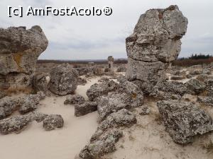 [P05] Pobiti kamâni - formațiuni de roci » foto by Dragoș_MD
 - 
<span class="allrVoted glyphicon glyphicon-heart hidden" id="av1360820"></span>
<a class="m-l-10 hidden" id="sv1360820" onclick="voting_Foto_DelVot(,1360820,16730)" role="button">șterge vot <span class="glyphicon glyphicon-remove"></span></a>
<a id="v91360820" class=" c-red"  onclick="voting_Foto_SetVot(1360820)" role="button"><span class="glyphicon glyphicon-heart-empty"></span> <b>LIKE</b> = Votează poza</a> <img class="hidden"  id="f1360820W9" src="/imagini/loader.gif" border="0" /><span class="AjErrMes hidden" id="e1360820ErM"></span>