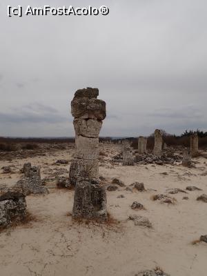 [P06] Pobiti kamâni - formațiuni de roci » foto by Dragoș_MD
 - 
<span class="allrVoted glyphicon glyphicon-heart hidden" id="av1360821"></span>
<a class="m-l-10 hidden" id="sv1360821" onclick="voting_Foto_DelVot(,1360821,16730)" role="button">șterge vot <span class="glyphicon glyphicon-remove"></span></a>
<a id="v91360821" class=" c-red"  onclick="voting_Foto_SetVot(1360821)" role="button"><span class="glyphicon glyphicon-heart-empty"></span> <b>LIKE</b> = Votează poza</a> <img class="hidden"  id="f1360821W9" src="/imagini/loader.gif" border="0" /><span class="AjErrMes hidden" id="e1360821ErM"></span>
