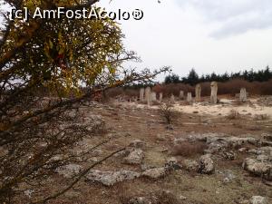 [P09] Pobiti kamâni - formațiuni de roci » foto by Dragoș_MD
 - 
<span class="allrVoted glyphicon glyphicon-heart hidden" id="av1360824"></span>
<a class="m-l-10 hidden" id="sv1360824" onclick="voting_Foto_DelVot(,1360824,16730)" role="button">șterge vot <span class="glyphicon glyphicon-remove"></span></a>
<a id="v91360824" class=" c-red"  onclick="voting_Foto_SetVot(1360824)" role="button"><span class="glyphicon glyphicon-heart-empty"></span> <b>LIKE</b> = Votează poza</a> <img class="hidden"  id="f1360824W9" src="/imagini/loader.gif" border="0" /><span class="AjErrMes hidden" id="e1360824ErM"></span>
