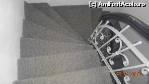 [P09]  -- <small>// FĂRĂ DESCRIERE</small> » foto by vio_andu_gaby
 - 
<span class="allrVoted glyphicon glyphicon-heart hidden" id="av525009"></span>
<a class="m-l-10 hidden" id="sv525009" onclick="voting_Foto_DelVot(,525009,16788)" role="button">șterge vot <span class="glyphicon glyphicon-remove"></span></a>
<a id="v9525009" class=" c-red"  onclick="voting_Foto_SetVot(525009)" role="button"><span class="glyphicon glyphicon-heart-empty"></span> <b>LIKE</b> = Votează poza</a> <img class="hidden"  id="f525009W9" src="/imagini/loader.gif" border="0" /><span class="AjErrMes hidden" id="e525009ErM"></span>