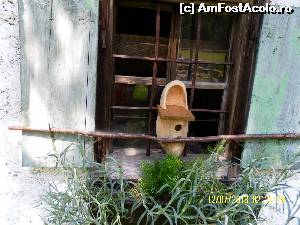 [P11] Batrana casa și loc de odihna pentru pasarele » foto by Alina53
 - 
<span class="allrVoted glyphicon glyphicon-heart hidden" id="av525216"></span>
<a class="m-l-10 hidden" id="sv525216" onclick="voting_Foto_DelVot(,525216,16791)" role="button">șterge vot <span class="glyphicon glyphicon-remove"></span></a>
<a id="v9525216" class=" c-red"  onclick="voting_Foto_SetVot(525216)" role="button"><span class="glyphicon glyphicon-heart-empty"></span> <b>LIKE</b> = Votează poza</a> <img class="hidden"  id="f525216W9" src="/imagini/loader.gif" border="0" /><span class="AjErrMes hidden" id="e525216ErM"></span>
