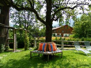 [P06] La alegere - odihna sau plaja in gradina pensiunii » foto by Alina53
 - 
<span class="allrVoted glyphicon glyphicon-heart hidden" id="av525190"></span>
<a class="m-l-10 hidden" id="sv525190" onclick="voting_Foto_DelVot(,525190,16791)" role="button">șterge vot <span class="glyphicon glyphicon-remove"></span></a>
<a id="v9525190" class=" c-red"  onclick="voting_Foto_SetVot(525190)" role="button"><span class="glyphicon glyphicon-heart-empty"></span> <b>LIKE</b> = Votează poza</a> <img class="hidden"  id="f525190W9" src="/imagini/loader.gif" border="0" /><span class="AjErrMes hidden" id="e525190ErM"></span>