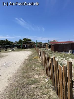 [P04] Cocus Beach Bar, Kassandra » foto by krisstinna
 - 
<span class="allrVoted glyphicon glyphicon-heart hidden" id="av1338643"></span>
<a class="m-l-10 hidden" id="sv1338643" onclick="voting_Foto_DelVot(,1338643,16829)" role="button">șterge vot <span class="glyphicon glyphicon-remove"></span></a>
<a id="v91338643" class=" c-red"  onclick="voting_Foto_SetVot(1338643)" role="button"><span class="glyphicon glyphicon-heart-empty"></span> <b>LIKE</b> = Votează poza</a> <img class="hidden"  id="f1338643W9" src="/imagini/loader.gif" border="0" /><span class="AjErrMes hidden" id="e1338643ErM"></span>