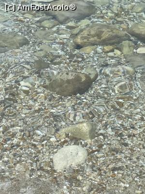 [P62] Apa mării la Agora Beach » foto by krisstinna
 - 
<span class="allrVoted glyphicon glyphicon-heart hidden" id="av1338704"></span>
<a class="m-l-10 hidden" id="sv1338704" onclick="voting_Foto_DelVot(,1338704,16829)" role="button">șterge vot <span class="glyphicon glyphicon-remove"></span></a>
<a id="v91338704" class=" c-red"  onclick="voting_Foto_SetVot(1338704)" role="button"><span class="glyphicon glyphicon-heart-empty"></span> <b>LIKE</b> = Votează poza</a> <img class="hidden"  id="f1338704W9" src="/imagini/loader.gif" border="0" /><span class="AjErrMes hidden" id="e1338704ErM"></span>