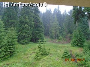 [P02] Muntele și pădurea de conifere din spatele pensiunii » foto by Mitica49
 - 
<span class="allrVoted glyphicon glyphicon-heart hidden" id="av917497"></span>
<a class="m-l-10 hidden" id="sv917497" onclick="voting_Foto_DelVot(,917497,16967)" role="button">șterge vot <span class="glyphicon glyphicon-remove"></span></a>
<a id="v9917497" class=" c-red"  onclick="voting_Foto_SetVot(917497)" role="button"><span class="glyphicon glyphicon-heart-empty"></span> <b>LIKE</b> = Votează poza</a> <img class="hidden"  id="f917497W9" src="/imagini/loader.gif" border="0" /><span class="AjErrMes hidden" id="e917497ErM"></span>