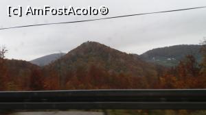 [P18]  -- <small>// FĂRĂ DESCRIERE</small> » foto by Flalex
 - 
<span class="allrVoted glyphicon glyphicon-heart hidden" id="av1202281"></span>
<a class="m-l-10 hidden" id="sv1202281" onclick="voting_Foto_DelVot(,1202281,16968)" role="button">șterge vot <span class="glyphicon glyphicon-remove"></span></a>
<a id="v91202281" class=" c-red"  onclick="voting_Foto_SetVot(1202281)" role="button"><span class="glyphicon glyphicon-heart-empty"></span> <b>LIKE</b> = Votează poza</a> <img class="hidden"  id="f1202281W9" src="/imagini/loader.gif" border="0" /><span class="AjErrMes hidden" id="e1202281ErM"></span>