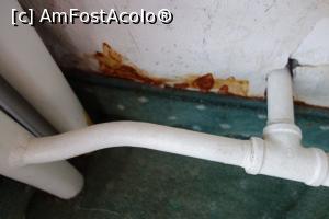 [P02]  -- <small>// FĂRĂ DESCRIERE</small> » foto by wolf2001*
 - 
<span class="allrVoted glyphicon glyphicon-heart hidden" id="av765704"></span>
<a class="m-l-10 hidden" id="sv765704" onclick="voting_Foto_DelVot(,765704,17000)" role="button">șterge vot <span class="glyphicon glyphicon-remove"></span></a>
<a id="v9765704" class=" c-red"  onclick="voting_Foto_SetVot(765704)" role="button"><span class="glyphicon glyphicon-heart-empty"></span> <b>LIKE</b> = Votează poza</a> <img class="hidden"  id="f765704W9" src="/imagini/loader.gif" border="0" /><span class="AjErrMes hidden" id="e765704ErM"></span>