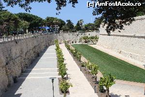 [P19]  -- <small>// FĂRĂ DESCRIERE</small> » foto by icata24
 - 
<span class="allrVoted glyphicon glyphicon-heart hidden" id="av539378"></span>
<a class="m-l-10 hidden" id="sv539378" onclick="voting_Foto_DelVot(,539378,17058)" role="button">șterge vot <span class="glyphicon glyphicon-remove"></span></a>
<a id="v9539378" class=" c-red"  onclick="voting_Foto_SetVot(539378)" role="button"><span class="glyphicon glyphicon-heart-empty"></span> <b>LIKE</b> = Votează poza</a> <img class="hidden"  id="f539378W9" src="/imagini/loader.gif" border="0" /><span class="AjErrMes hidden" id="e539378ErM"></span>