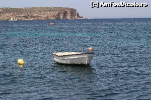 [P09]  -- <small>// FĂRĂ DESCRIERE</small> » foto by icata24
 - 
<span class="allrVoted glyphicon glyphicon-heart hidden" id="av539366"></span>
<a class="m-l-10 hidden" id="sv539366" onclick="voting_Foto_DelVot(,539366,17058)" role="button">șterge vot <span class="glyphicon glyphicon-remove"></span></a>
<a id="v9539366" class=" c-red"  onclick="voting_Foto_SetVot(539366)" role="button"><span class="glyphicon glyphicon-heart-empty"></span> <b>LIKE</b> = Votează poza</a> <img class="hidden"  id="f539366W9" src="/imagini/loader.gif" border="0" /><span class="AjErrMes hidden" id="e539366ErM"></span>