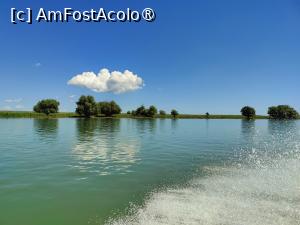 [P43] Pe canalul Sulina » foto by crismis
 - 
<span class="allrVoted glyphicon glyphicon-heart hidden" id="av1499854"></span>
<a class="m-l-10 hidden" id="sv1499854" onclick="voting_Foto_DelVot(,1499854,17088)" role="button">șterge vot <span class="glyphicon glyphicon-remove"></span></a>
<a id="v91499854" class=" c-red"  onclick="voting_Foto_SetVot(1499854)" role="button"><span class="glyphicon glyphicon-heart-empty"></span> <b>LIKE</b> = Votează poza</a> <img class="hidden"  id="f1499854W9" src="/imagini/loader.gif" border="0" /><span class="AjErrMes hidden" id="e1499854ErM"></span>