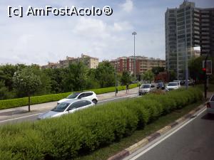 [P46] Agur Vitoria » foto by mireille
 - 
<span class="allrVoted glyphicon glyphicon-heart hidden" id="av995440"></span>
<a class="m-l-10 hidden" id="sv995440" onclick="voting_Foto_DelVot(,995440,17340)" role="button">șterge vot <span class="glyphicon glyphicon-remove"></span></a>
<a id="v9995440" class=" c-red"  onclick="voting_Foto_SetVot(995440)" role="button"><span class="glyphicon glyphicon-heart-empty"></span> <b>LIKE</b> = Votează poza</a> <img class="hidden"  id="f995440W9" src="/imagini/loader.gif" border="0" /><span class="AjErrMes hidden" id="e995440ErM"></span>
