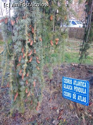 [P13] Parcul Marghiloman, Buzău » foto by Mioritik
 - 
<span class="allrVoted glyphicon glyphicon-heart hidden" id="av1296521"></span>
<a class="m-l-10 hidden" id="sv1296521" onclick="voting_Foto_DelVot(,1296521,17366)" role="button">șterge vot <span class="glyphicon glyphicon-remove"></span></a>
<a id="v91296521" class=" c-red"  onclick="voting_Foto_SetVot(1296521)" role="button"><span class="glyphicon glyphicon-heart-empty"></span> <b>LIKE</b> = Votează poza</a> <img class="hidden"  id="f1296521W9" src="/imagini/loader.gif" border="0" /><span class="AjErrMes hidden" id="e1296521ErM"></span>