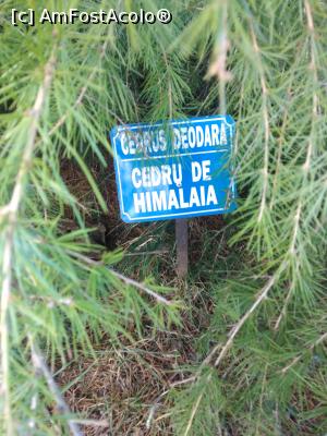 [P17] Parcul Marghiloman, Buzău » foto by Mioritik
 - 
<span class="allrVoted glyphicon glyphicon-heart hidden" id="av1296525"></span>
<a class="m-l-10 hidden" id="sv1296525" onclick="voting_Foto_DelVot(,1296525,17366)" role="button">șterge vot <span class="glyphicon glyphicon-remove"></span></a>
<a id="v91296525" class=" c-red"  onclick="voting_Foto_SetVot(1296525)" role="button"><span class="glyphicon glyphicon-heart-empty"></span> <b>LIKE</b> = Votează poza</a> <img class="hidden"  id="f1296525W9" src="/imagini/loader.gif" border="0" /><span class="AjErrMes hidden" id="e1296525ErM"></span>