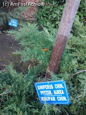 [P23] Parcul Marghiloman, Buzău » foto by Mioritik
 - 
<span class="allrVoted glyphicon glyphicon-heart hidden" id="av1296531"></span>
<a class="m-l-10 hidden" id="sv1296531" onclick="voting_Foto_DelVot(,1296531,17366)" role="button">șterge vot <span class="glyphicon glyphicon-remove"></span></a>
<a id="v91296531" class=" c-red"  onclick="voting_Foto_SetVot(1296531)" role="button"><span class="glyphicon glyphicon-heart-empty"></span> <b>LIKE</b> = Votează poza</a> <img class="hidden"  id="f1296531W9" src="/imagini/loader.gif" border="0" /><span class="AjErrMes hidden" id="e1296531ErM"></span>
