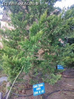 [P26] Parcul Marghiloman, Buzău » foto by Mioritik
 - 
<span class="allrVoted glyphicon glyphicon-heart hidden" id="av1296534"></span>
<a class="m-l-10 hidden" id="sv1296534" onclick="voting_Foto_DelVot(,1296534,17366)" role="button">șterge vot <span class="glyphicon glyphicon-remove"></span></a>
<a id="v91296534" class=" c-red"  onclick="voting_Foto_SetVot(1296534)" role="button"><span class="glyphicon glyphicon-heart-empty"></span> <b>LIKE</b> = Votează poza</a> <img class="hidden"  id="f1296534W9" src="/imagini/loader.gif" border="0" /><span class="AjErrMes hidden" id="e1296534ErM"></span>