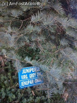 [P27] Parcul Marghiloman, Buzău » foto by Mioritik
 - 
<span class="allrVoted glyphicon glyphicon-heart hidden" id="av1296535"></span>
<a class="m-l-10 hidden" id="sv1296535" onclick="voting_Foto_DelVot(,1296535,17366)" role="button">șterge vot <span class="glyphicon glyphicon-remove"></span></a>
<a id="v91296535" class=" c-red"  onclick="voting_Foto_SetVot(1296535)" role="button"><span class="glyphicon glyphicon-heart-empty"></span> <b>LIKE</b> = Votează poza</a> <img class="hidden"  id="f1296535W9" src="/imagini/loader.gif" border="0" /><span class="AjErrMes hidden" id="e1296535ErM"></span>