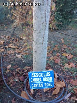 [P34] Parcul Marghiloman, Buzău » foto by Mioritik
 - 
<span class="allrVoted glyphicon glyphicon-heart hidden" id="av1296542"></span>
<a class="m-l-10 hidden" id="sv1296542" onclick="voting_Foto_DelVot(,1296542,17366)" role="button">șterge vot <span class="glyphicon glyphicon-remove"></span></a>
<a id="v91296542" class=" c-red"  onclick="voting_Foto_SetVot(1296542)" role="button"><span class="glyphicon glyphicon-heart-empty"></span> <b>LIKE</b> = Votează poza</a> <img class="hidden"  id="f1296542W9" src="/imagini/loader.gif" border="0" /><span class="AjErrMes hidden" id="e1296542ErM"></span>