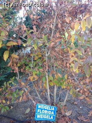 [P38] Parcul Marghiloman, Buzău » foto by Mioritik
 - 
<span class="allrVoted glyphicon glyphicon-heart hidden" id="av1296546"></span>
<a class="m-l-10 hidden" id="sv1296546" onclick="voting_Foto_DelVot(,1296546,17366)" role="button">șterge vot <span class="glyphicon glyphicon-remove"></span></a>
<a id="v91296546" class=" c-red"  onclick="voting_Foto_SetVot(1296546)" role="button"><span class="glyphicon glyphicon-heart-empty"></span> <b>LIKE</b> = Votează poza</a> <img class="hidden"  id="f1296546W9" src="/imagini/loader.gif" border="0" /><span class="AjErrMes hidden" id="e1296546ErM"></span>