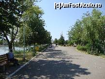 [P33] La plimbare pe Aleea Principală din Parcul Tineretului.  » foto by Floryn81
 - 
<span class="allrVoted glyphicon glyphicon-heart hidden" id="av338543"></span>
<a class="m-l-10 hidden" id="sv338543" onclick="voting_Foto_DelVot(,338543,17366)" role="button">șterge vot <span class="glyphicon glyphicon-remove"></span></a>
<a id="v9338543" class=" c-red"  onclick="voting_Foto_SetVot(338543)" role="button"><span class="glyphicon glyphicon-heart-empty"></span> <b>LIKE</b> = Votează poza</a> <img class="hidden"  id="f338543W9" src="/imagini/loader.gif" border="0" /><span class="AjErrMes hidden" id="e338543ErM"></span>
