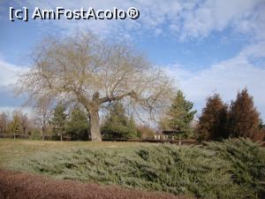 [P19] O zi frumoasă de decembrie 2016 în parcul Marghiloman din municipiul Buzău.  » foto by Floryn81
 - 
<span class="allrVoted glyphicon glyphicon-heart hidden" id="av820601"></span>
<a class="m-l-10 hidden" id="sv820601" onclick="voting_Foto_DelVot(,820601,17366)" role="button">șterge vot <span class="glyphicon glyphicon-remove"></span></a>
<a id="v9820601" class=" c-red"  onclick="voting_Foto_SetVot(820601)" role="button"><span class="glyphicon glyphicon-heart-empty"></span> <b>LIKE</b> = Votează poza</a> <img class="hidden"  id="f820601W9" src="/imagini/loader.gif" border="0" /><span class="AjErrMes hidden" id="e820601ErM"></span>