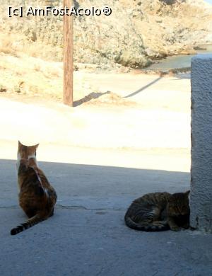 [P57] Plaje din sudul Eviei - Zarakes beach (παραλία ζαράκων), taverna O Kapetanos (Ταβέρνα " Ο Καπετάνιος")  » foto by Dragoș_MD
 - 
<span class="allrVoted glyphicon glyphicon-heart hidden" id="av1111051"></span>
<a class="m-l-10 hidden" id="sv1111051" onclick="voting_Foto_DelVot(,1111051,17367)" role="button">șterge vot <span class="glyphicon glyphicon-remove"></span></a>
<a id="v91111051" class=" c-red"  onclick="voting_Foto_SetVot(1111051)" role="button"><span class="glyphicon glyphicon-heart-empty"></span> <b>LIKE</b> = Votează poza</a> <img class="hidden"  id="f1111051W9" src="/imagini/loader.gif" border="0" /><span class="AjErrMes hidden" id="e1111051ErM"></span>