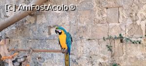 [P85] Curtea interioară cu câțiva copăcei, Kiko al III-lea » foto by irinad
 - 
<span class="allrVoted glyphicon glyphicon-heart hidden" id="av1515466"></span>
<a class="m-l-10 hidden" id="sv1515466" onclick="voting_Foto_DelVot(,1515466,17454)" role="button">șterge vot <span class="glyphicon glyphicon-remove"></span></a>
<a id="v91515466" class=" c-red"  onclick="voting_Foto_SetVot(1515466)" role="button"><span class="glyphicon glyphicon-heart-empty"></span> <b>LIKE</b> = Votează poza</a> <img class="hidden"  id="f1515466W9" src="/imagini/loader.gif" border="0" /><span class="AjErrMes hidden" id="e1515466ErM"></span>