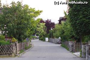 [P05] strada pe care se afla casa de vacanta » foto by osna
 - 
<span class="allrVoted glyphicon glyphicon-heart hidden" id="av557924"></span>
<a class="m-l-10 hidden" id="sv557924" onclick="voting_Foto_DelVot(,557924,17493)" role="button">șterge vot <span class="glyphicon glyphicon-remove"></span></a>
<a id="v9557924" class=" c-red"  onclick="voting_Foto_SetVot(557924)" role="button"><span class="glyphicon glyphicon-heart-empty"></span> <b>LIKE</b> = Votează poza</a> <img class="hidden"  id="f557924W9" src="/imagini/loader.gif" border="0" /><span class="AjErrMes hidden" id="e557924ErM"></span>