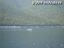 [P06] înaintând către Skiathos, pe marea Egee- noi cu vasul, alţii cu... barca » foto by mirelopodu*
 - 
<span class="allrVoted glyphicon glyphicon-heart hidden" id="av34289"></span>
<a class="m-l-10 hidden" id="sv34289" onclick="voting_Foto_DelVot(,34289,17499)" role="button">șterge vot <span class="glyphicon glyphicon-remove"></span></a>
<a id="v934289" class=" c-red"  onclick="voting_Foto_SetVot(34289)" role="button"><span class="glyphicon glyphicon-heart-empty"></span> <b>LIKE</b> = Votează poza</a> <img class="hidden"  id="f34289W9" src="/imagini/loader.gif" border="0" /><span class="AjErrMes hidden" id="e34289ErM"></span>